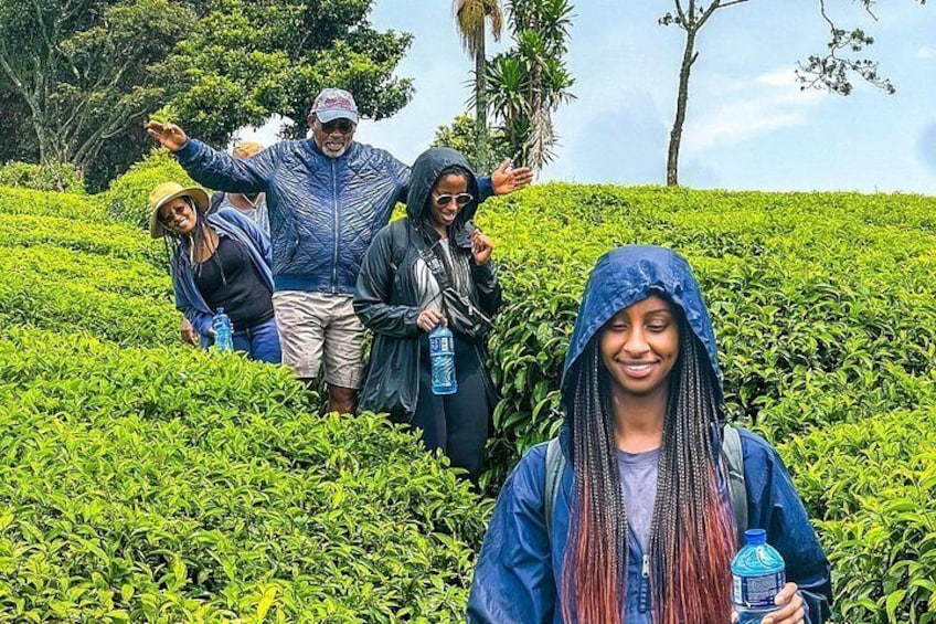 Tea farm walk in Tigoni 5