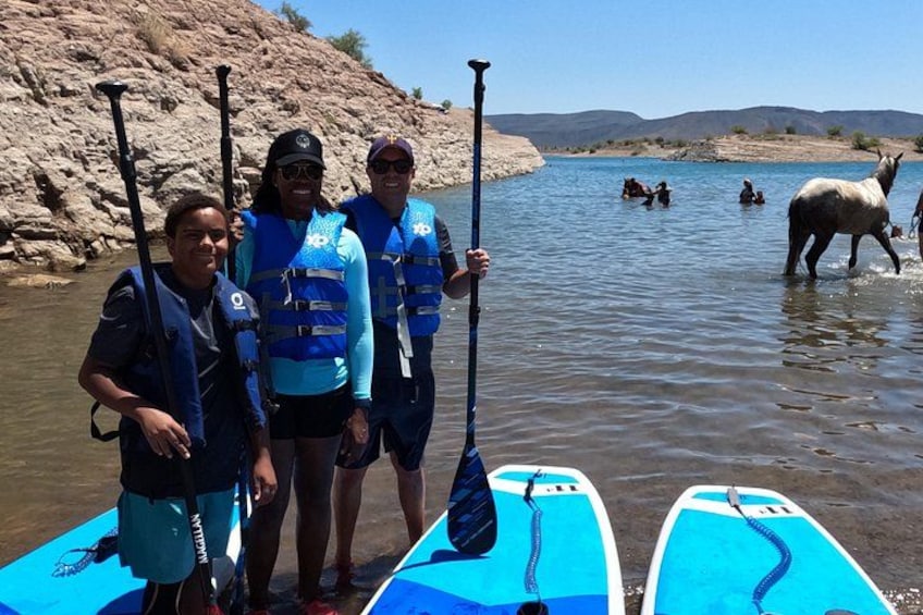 Three people on paddleboards in a river with horses in the background. 5