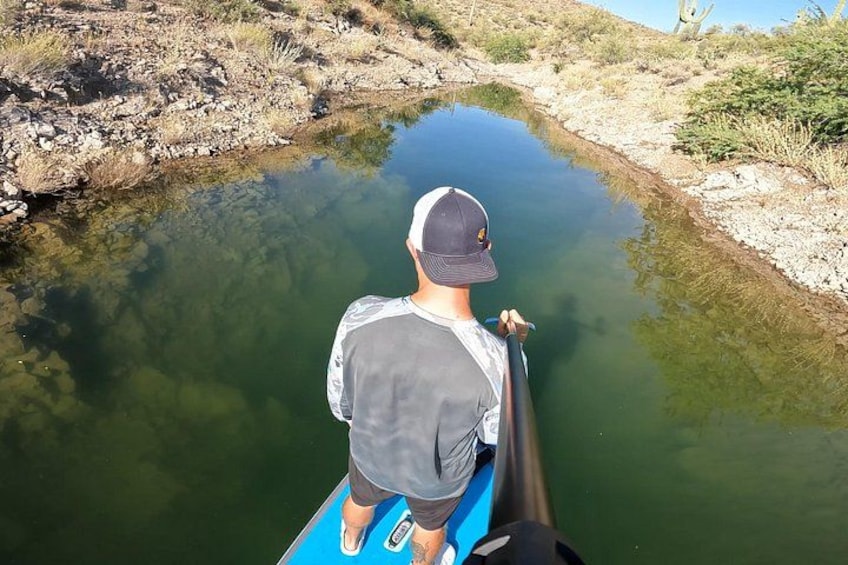A person paddling a kayak on a calm river surrounded by rocky terrain and sparse vegetation. 4