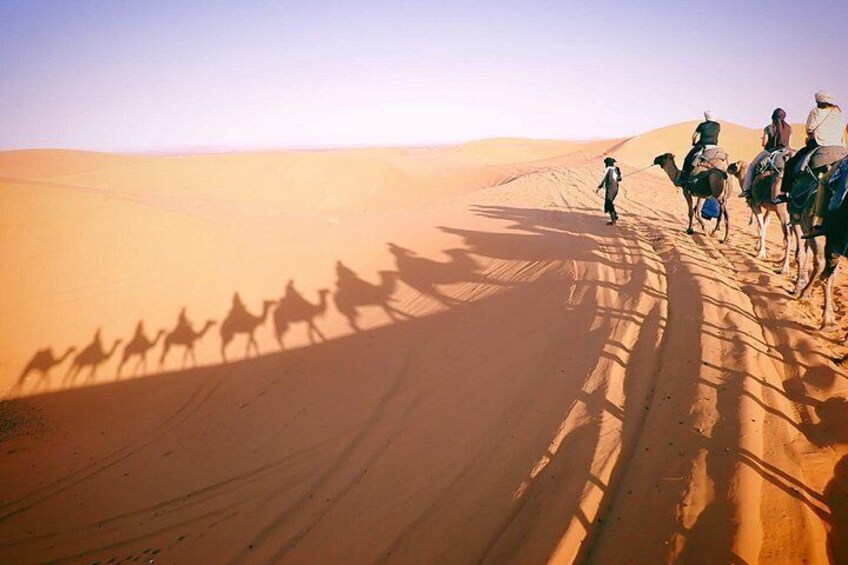 A camel caravan in a desert with sand dunes. 3