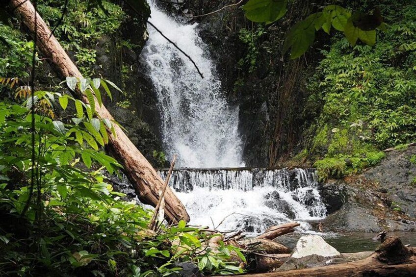 Koh Chang Highest Peak Jungle Experience with Hotel Pick up 4