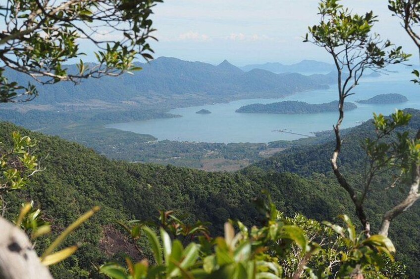 Koh Chang Highest Peak Jungle Experience with Hotel Pick up 3