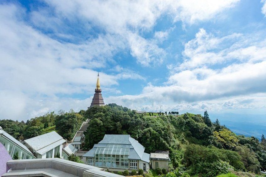 Chiang Mai Doi Inthanon Summit and Pagodas Tour 5
