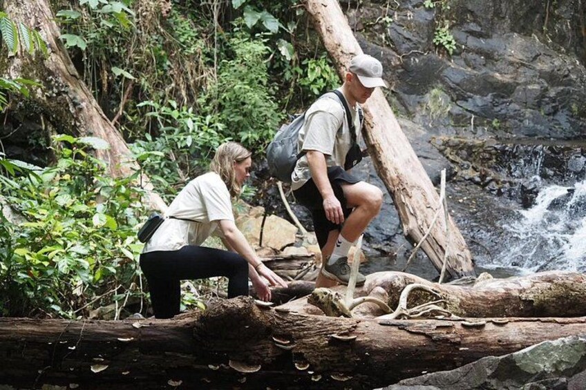 Full Day Koh Chang Highest Peak Jungle Trek and Waterfall 3
