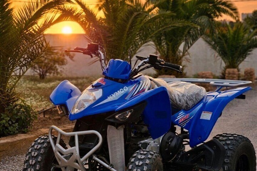 A blue ATV with a sidecar parked on a gravel path with palm trees in the background. 2