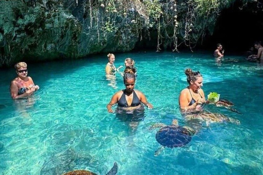 Jozani Forest, Salaam Cave and The Rock Restaurant in Zanzibar 3