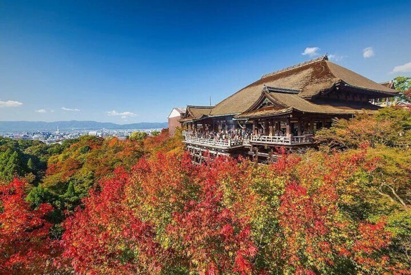 A traditional Japanese building with a thatched roof, surrounded by autumn foliage. 1