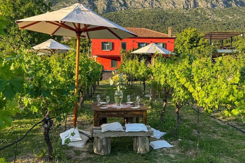A vineyard with a table set for a meal, surrounded by grapevines and a red building in the background. 1