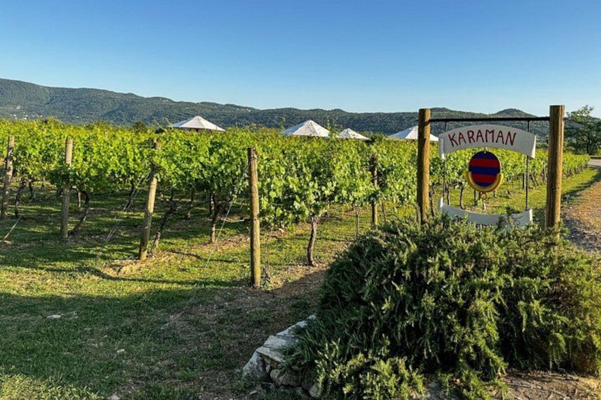 A vineyard with rows of grapevines, a sign reading 'KARAMAN,' and tents in the background. 2