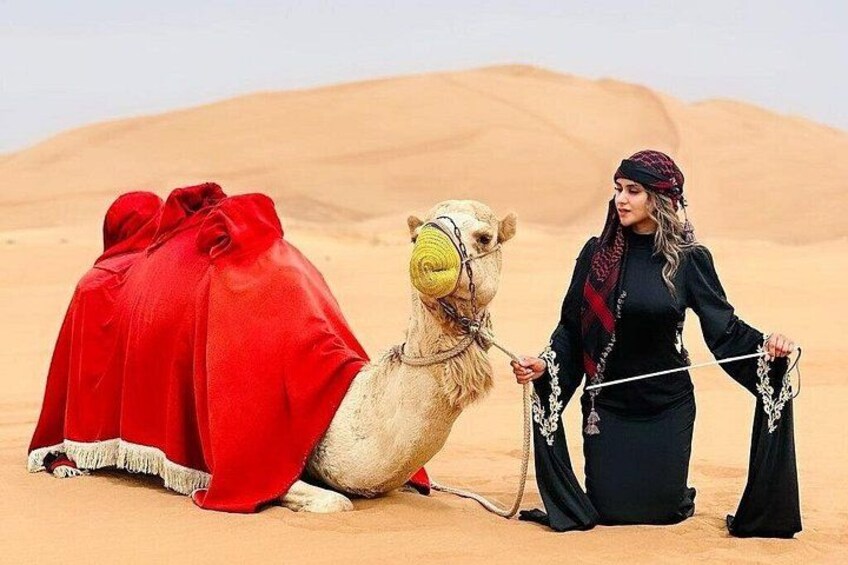 Ein Kamel mit roter Decke in einer Wüstenlandschaft. 2