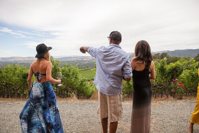 Sonoma Wine Tour - Private Access to Small Wineries 2