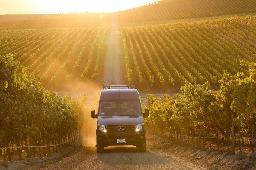 Sonoma Wine Tour - Private Access to Small Wineries 2