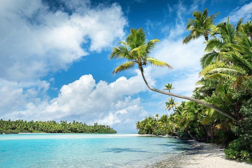 A tropical beach with clear turquoise water, palm trees, and a distant island. 1