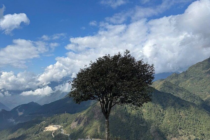 A solitary tree on a mountain slope with a winding path and distant mountains under a partly cloudy sky. 3