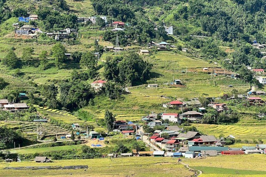 A hilly village with terraced fields, houses, and scattered trees. 1