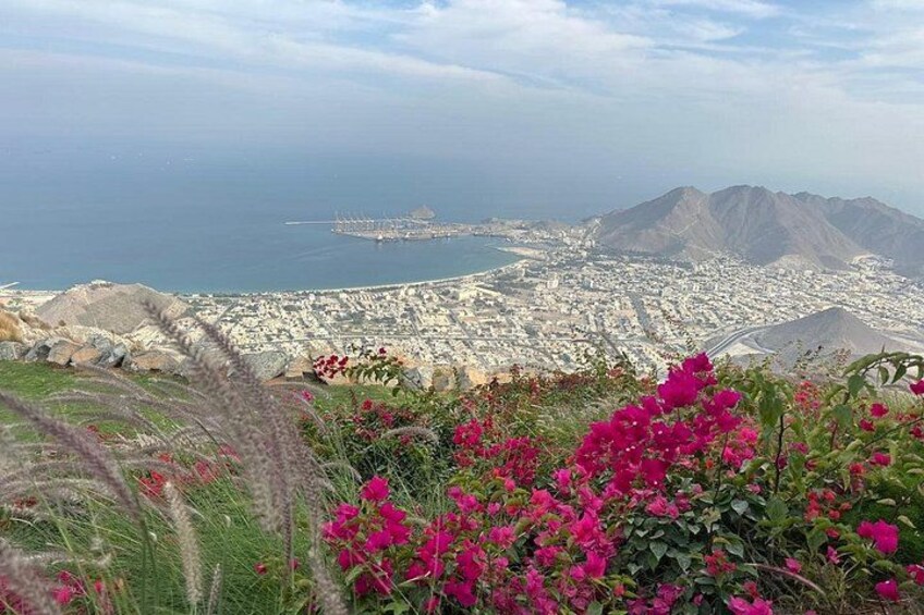 Eine Küstenlandschaft mit Bergen im Hintergrund, ein Hafen voller Schiffe und leuchtend rosa Blumen im Vordergrund. 3