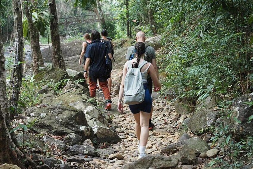 Half Day Koh Chang Jungle Trek for Families and Beginners 3