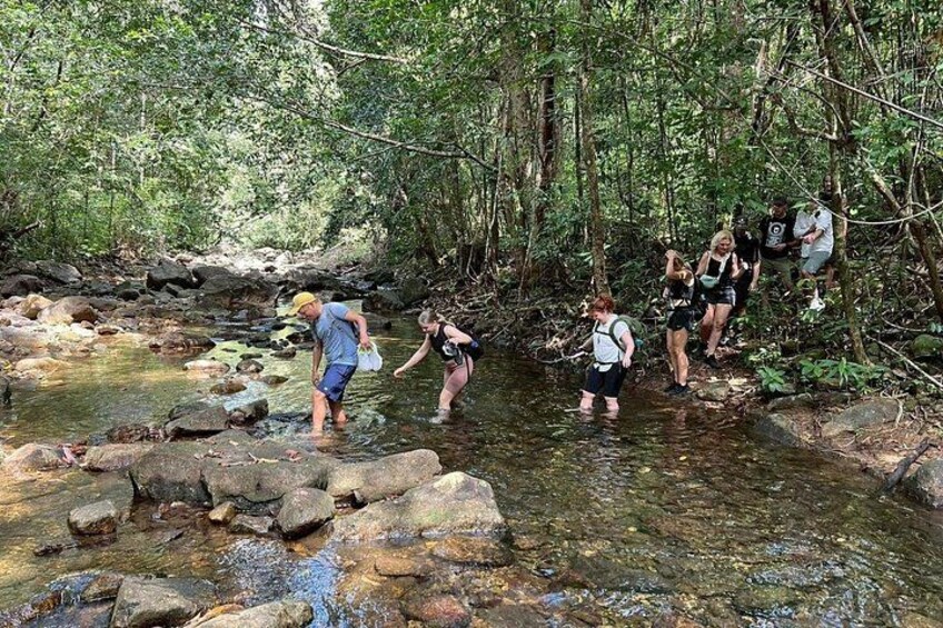 Half Day Koh Chang Jungle Trek for Families and Beginners 5
