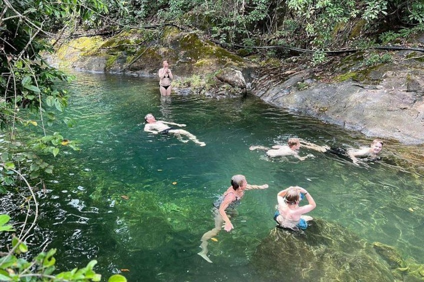 Half Day Koh Chang Jungle Trek for Families and Beginners 2