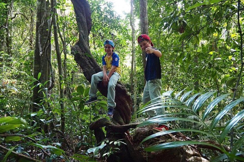 Half Day Koh Chang Jungle Trek for Families and Beginners 4
