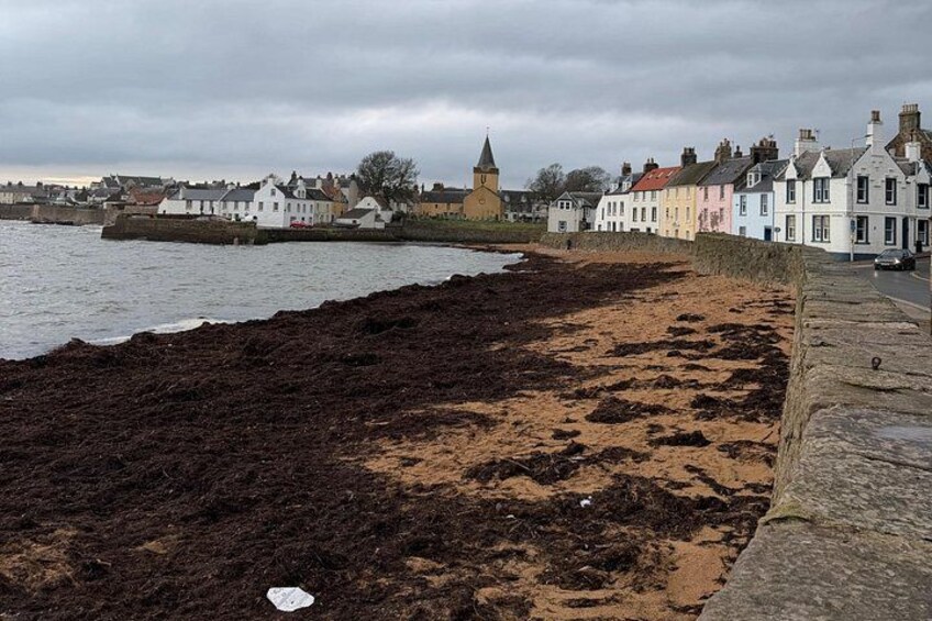 A beach with dark seaweed, a stone wall, and colorful buildings in the background. 1