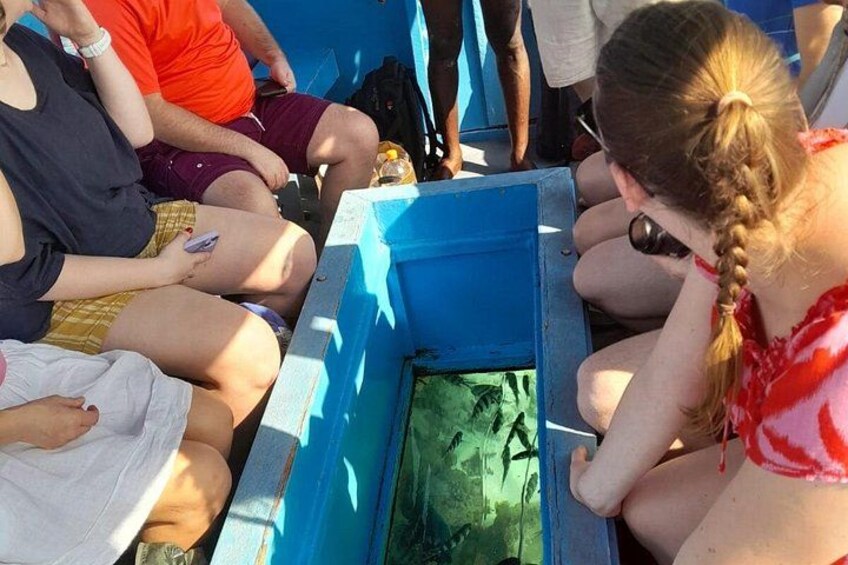 People sitting around a blue container with a green interior, possibly on a boat. 4