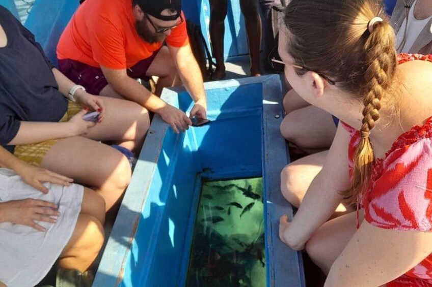 People sitting around a blue container with a green interior, possibly a fish tank. 1