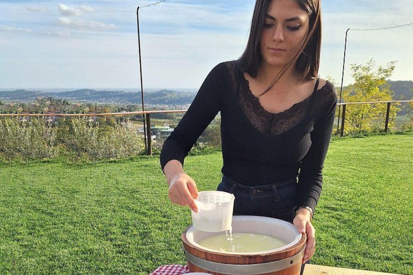 Cheese Making Experience 3