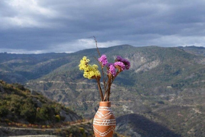 Troodos Mountain, Agros village, Roses- Wine -Nature Walk 5