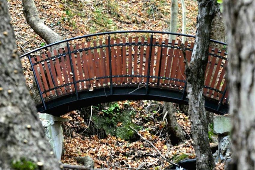 Troodos Mountain, Agros village, Roses- Wine -Nature Walk 2