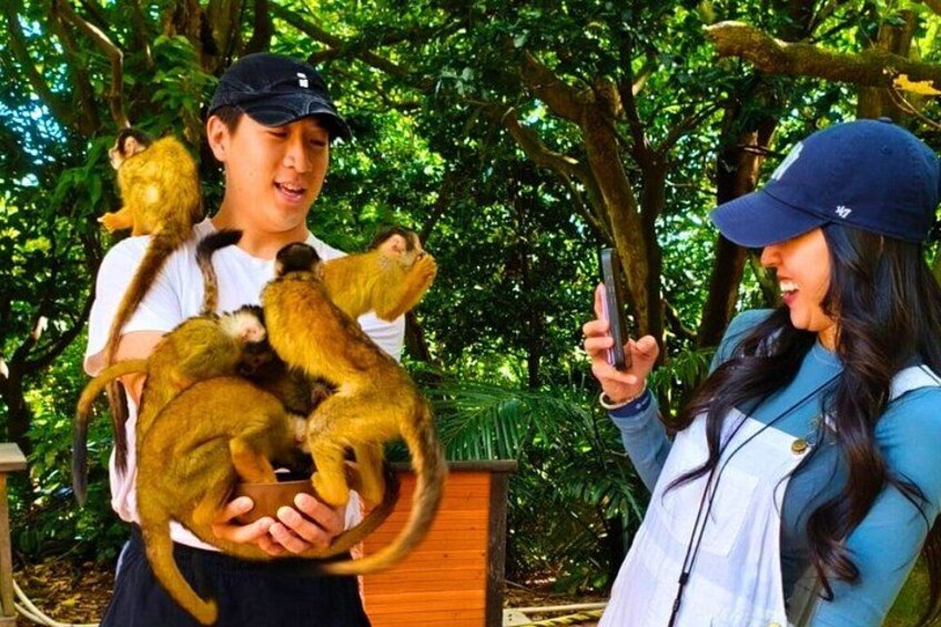 Private Custom Ishigaki Island Tour 5