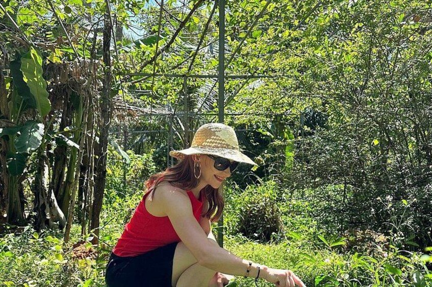 Una persona con camiseta roja y pantalones oscuros agachada en un exuberante jardín verde con follaje denso y diversas plantas. 3