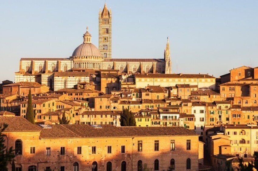 TOP Siena : Private Guided Tour with your mobile 2