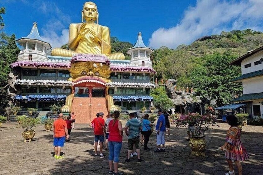 From Kandy: Minneriya Wildlife Safari and Heritage Day Tour 5