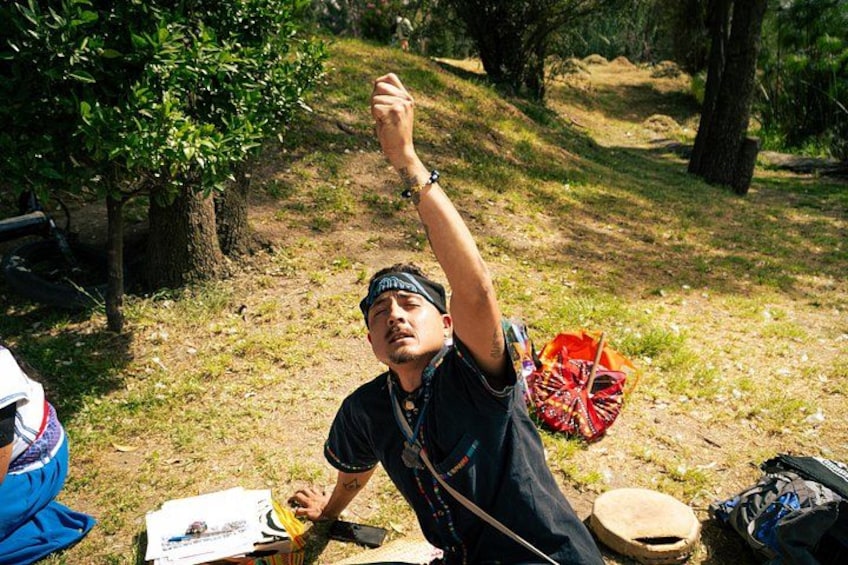 Corn and Cosmos Mexica Divination Reading 5