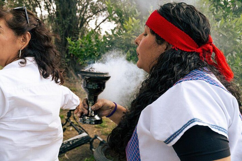 Corn and Cosmos Mexica Divination Reading 1