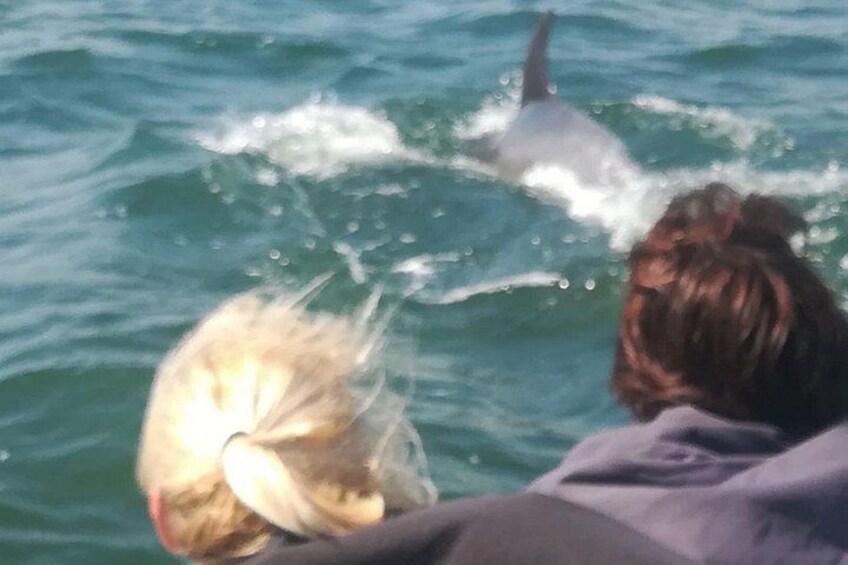 Jungle Dolphins Half Day Tour 4