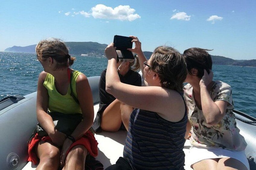 Jungle Dolphins Half Day Tour 5