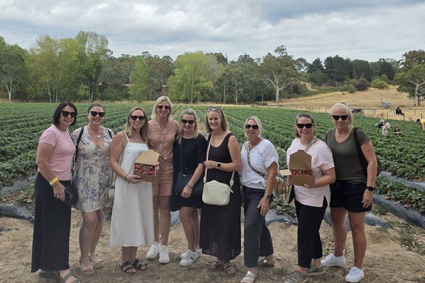 Adelaide Gems in a Day: Hahndorf, Glenelg Beach, City Tour 6.5hrs 3