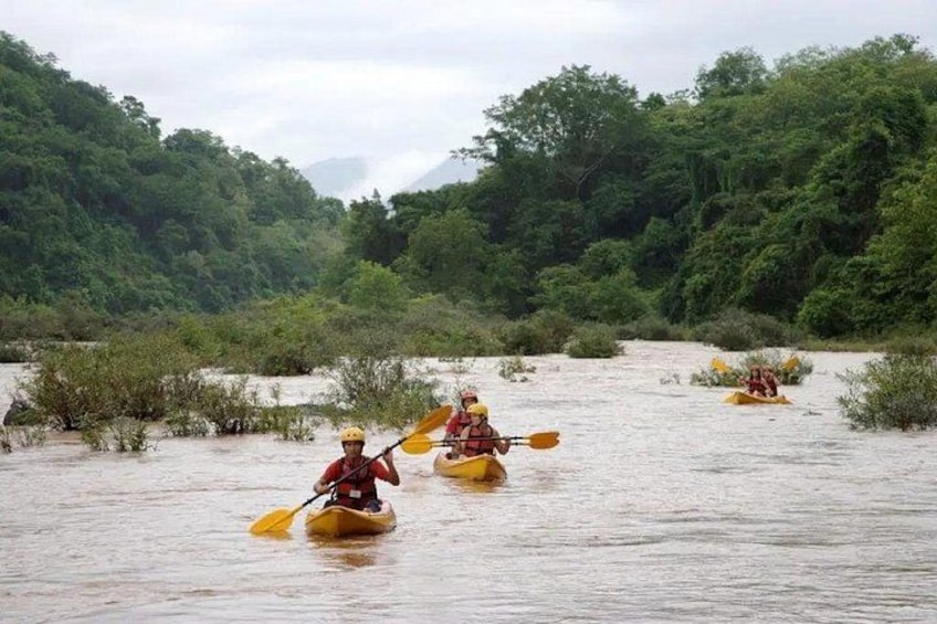 Menschen paddeln mit ihren Kajaks auf einem Fluss, umgeben von dichtem Grün. 4
