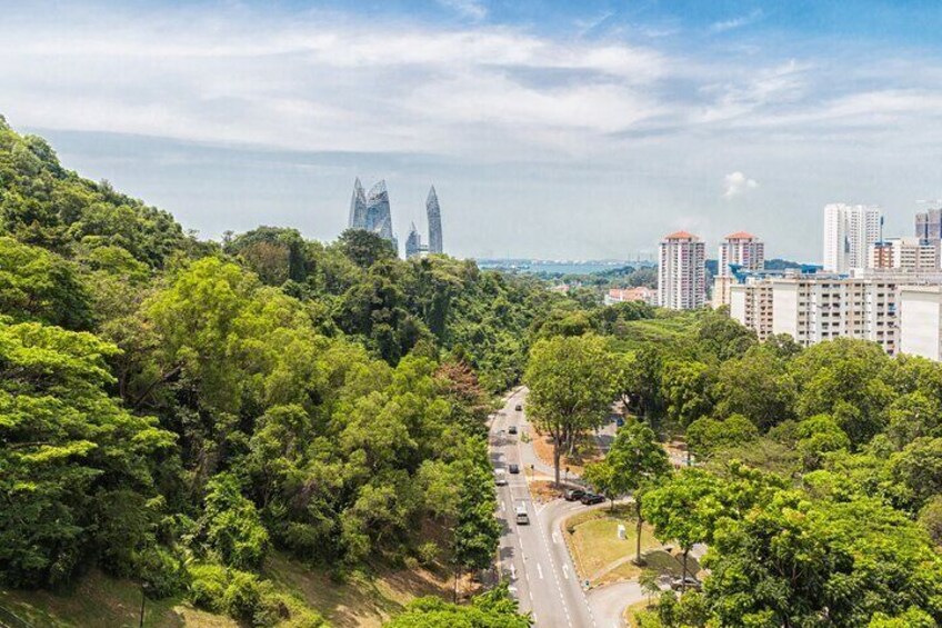 A cityscape with dense greenery and a road. 2
