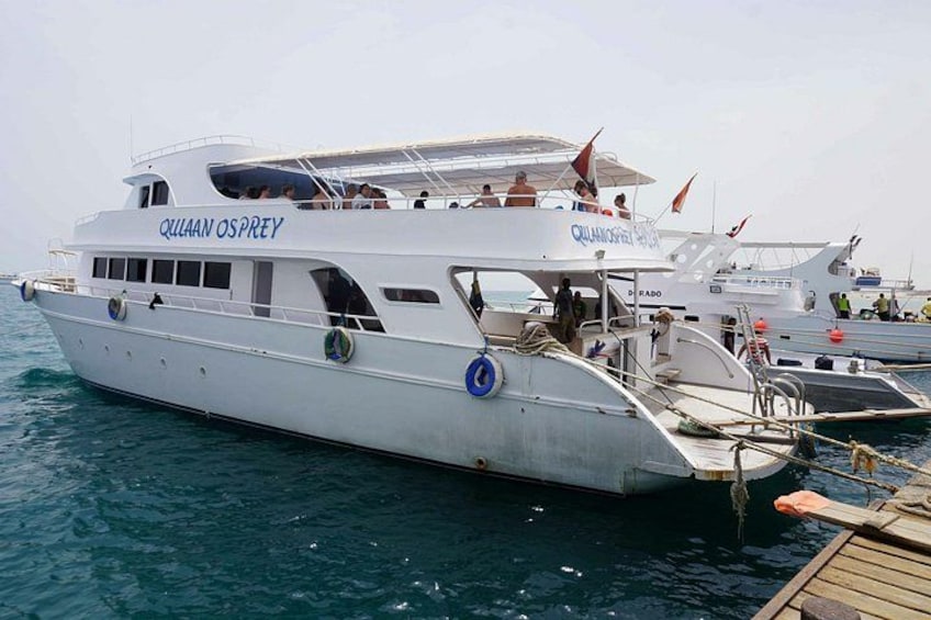 Swim with Dolphins at Samadai Reef Snorkeling from Marsa Alam 2
