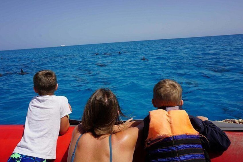 Three people on a boat with dolphins in the ocean. 3