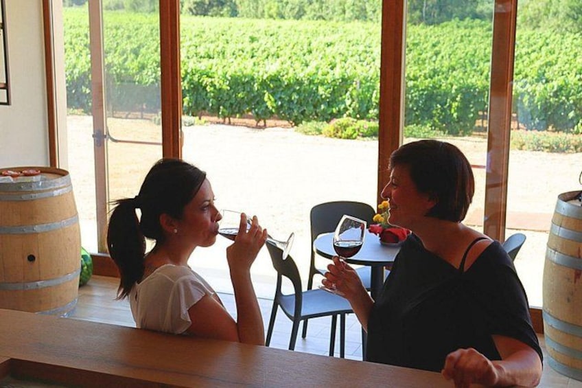 Deux personnes sont assises à une table, devant une vue sur un vignoble. 4