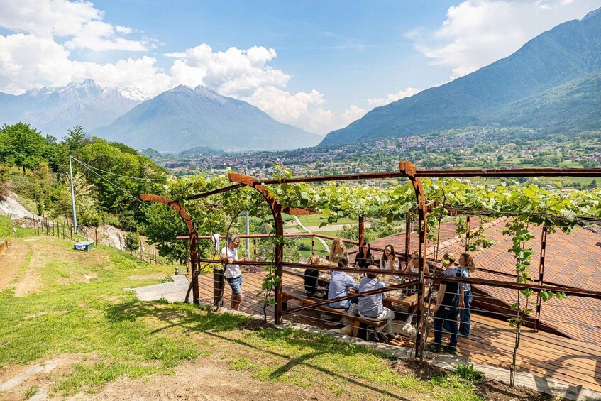 Picture 4 for Activity Lake Como: Wine tasting in the vineyard with local cold cuts and cheeses 2