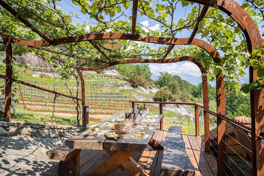Lake Como: Wine tasting in the vineyard with local cold cuts and cheeses 1