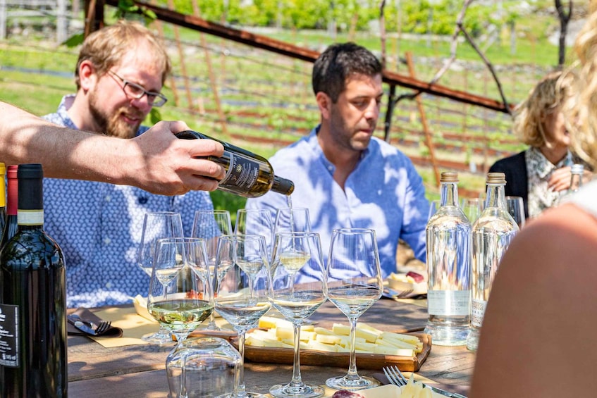 Picture 3 for Activity Lake Como: Wine tasting in the vineyard with local cold cuts and cheeses 4