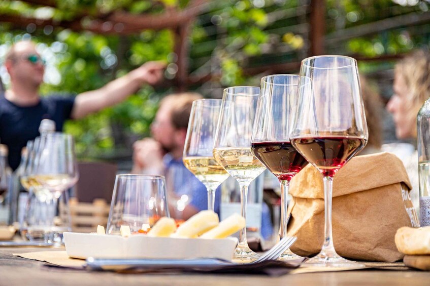 Picture 6 for Activity Lake Como: Wine tasting in the vineyard with local cold cuts and cheeses 5
