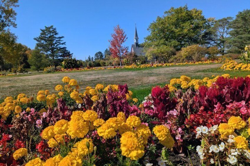 Annapolis Valley Experience Small Group Full Day Tour 4