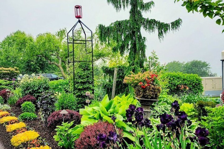 A garden with various plants, a metal structure, and a red lantern. 5